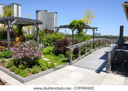 Rooftop Garden In Urban Setting
