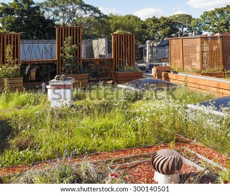 Rooftop garden in urban setting with beehive