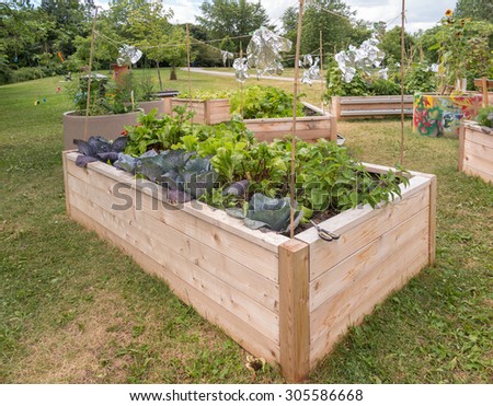 Raised garden beds in community garden