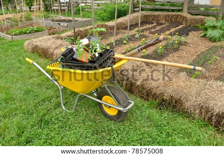 Wheelbarrow and garden tools in community garden