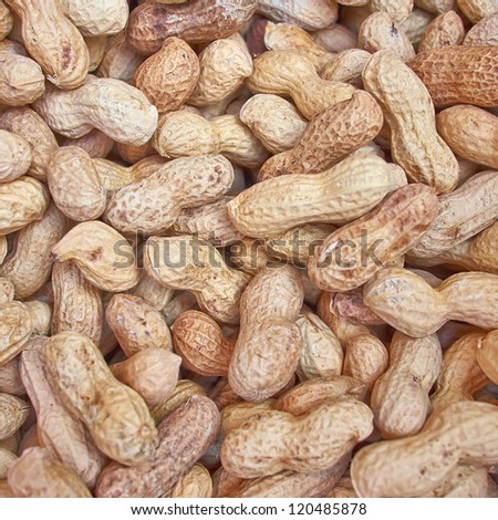 roasted peanuts in shell closeup, food background