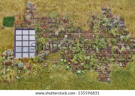 environmental friendly house facade with flowers and plants