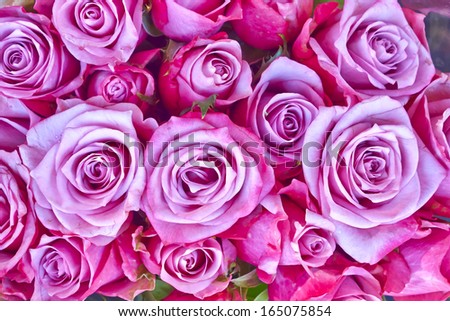 rose flowers bouquet, natural  background