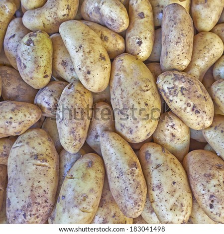 raw organic potatoes for sale, natural background