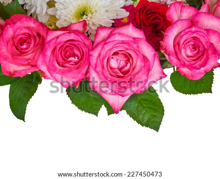 roses and chrysanthemums on white background