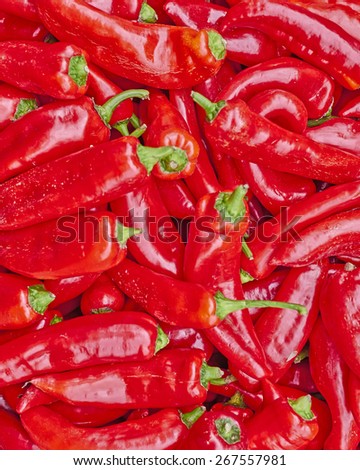 huge red hot chilli peppers close up, natural background