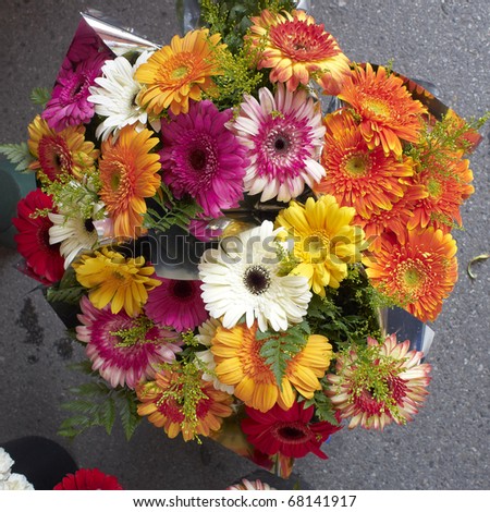 gerber daisies bouquet. stock photo : colorful gerber daisies flower ouquet