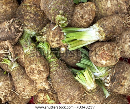 celeriac (celery roots), natural background