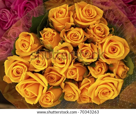 dark yellow rose flowers bouquet, natural background