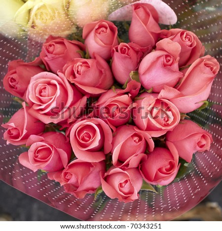 Rose Flowers on Pink Rose Flowers Bouquet  Natural Background Stock Photo 70343251