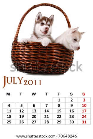 July 2011 Calendar on July 2011 Calendar With Siberian Husky Puppy Stock Photo 70648246