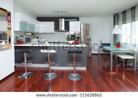 Beautiful modern kitchen in designer house