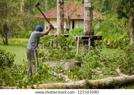 BALI - JANUARY 25. Man cleaning fallen tree after big storm on January 25, 2012 in Bali, Indonesia. Seven people died by falling trees that day.