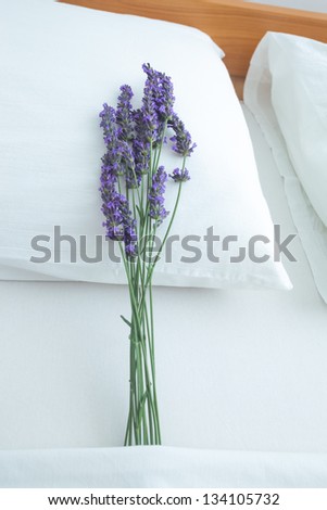 Fresh lavender on bed pillow in bedroom interior