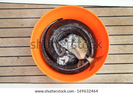 Fresh fish in bucket on a wooden floor.