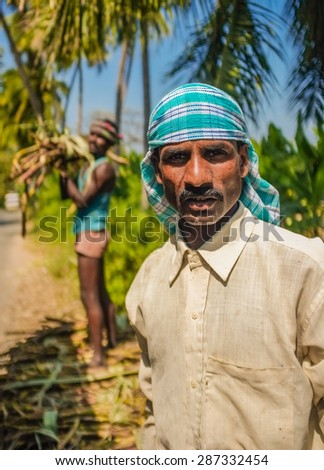 HAMPI, INDIA - 28 JANUARY 2015: Portrait of Indian worker with second worker loading sugarcane on truck
