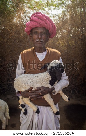 GODWAR REGION, INDIA - 13 FEBRUARY 2015: Elderly Rabari tribesman holds lamb in outdoor stable. Rabari or Rewari are an Indian community in the state of Gujarat.