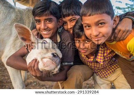 GODWAR REGION, INDIA - 12 FEBRUARY 2015: Four boys from Rabari tribe and calf. Loss of tradition gains pace from every new generation. Rabari or Rewari are an Indian community in the state of Gujarat.