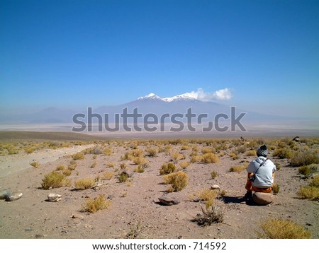 gazing into the distance, altiplano, uyuni, bolivia, south america