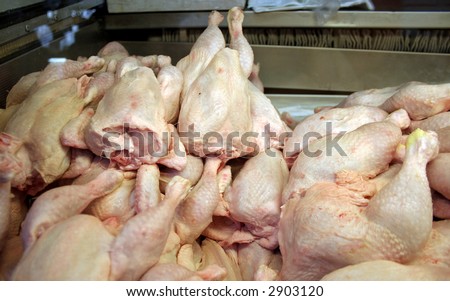 dead chicken in shop display