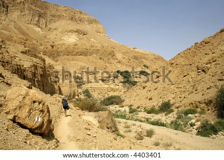 man walking in desert landscape in the dead sea region