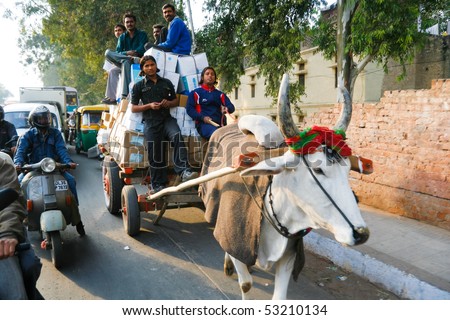 DELHI - JANUARY 19: Men sitting on top of pile of parcels being transported by a cow drawn cart in January 19, 2008 in Delhi, India.
