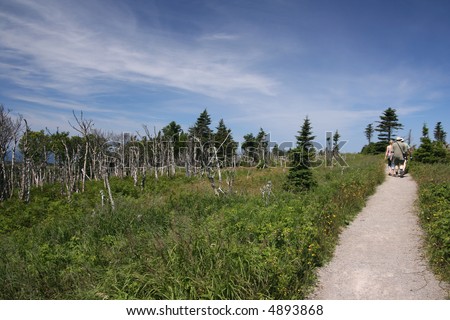 Skyline Trail. Cape Breton Highlands National Park. Nova Scotia. Canada.