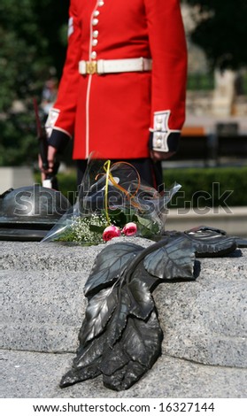 Roses on the Tomb of the Unknown Soldier with a Governor General\'s Foot Guard nearby. Ottawa, Ontario, Canada.