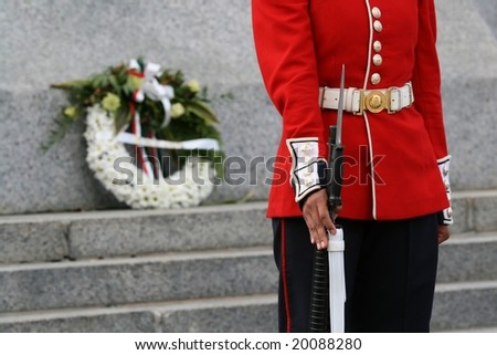 A Ceremonial Guard stands at the National War Memorial in Ottawa, Ontario, Canada.