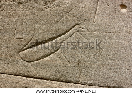 Petroglyph (Native rock carving) in Writing-On-Stone Provincial Park, Alberta, Canada.