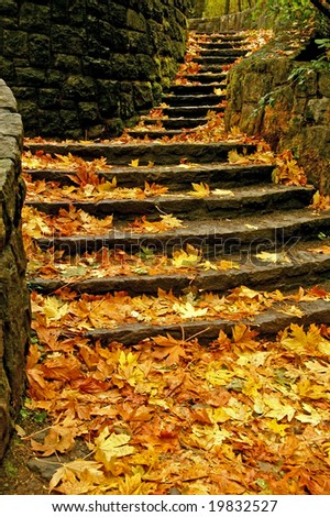 Steps Covered in Fall Leaves