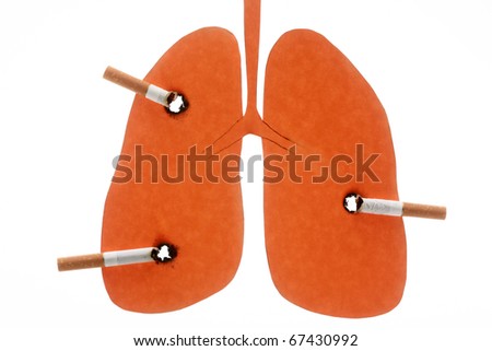 damaged lungs. stock photo : Lungs damaged by