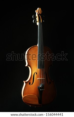 Violin orchestra musical instruments isolated on black. Classical music instrument