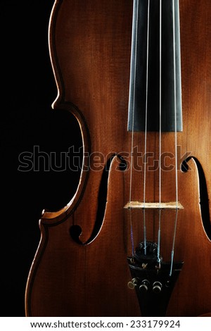 Violin orchestra musical instruments closeup on black