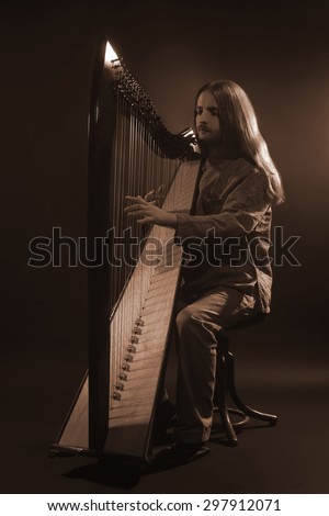 Irish harp player. Musician harpist music performer portrait