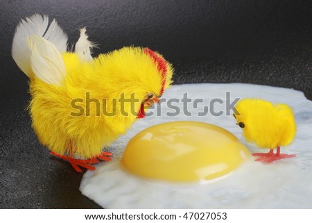 Unnatural violent death. Life destruction. Two chickens adult and young looking to yolk.