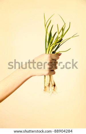 Green onion in hand. Scallions in the woman\'s hand.