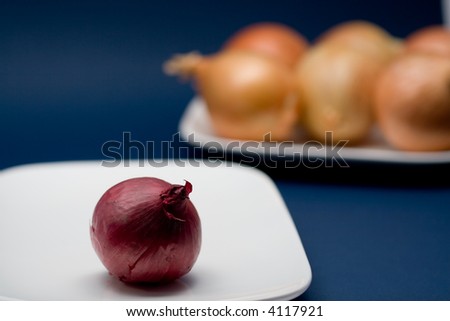 red onion in front a white onions in the background