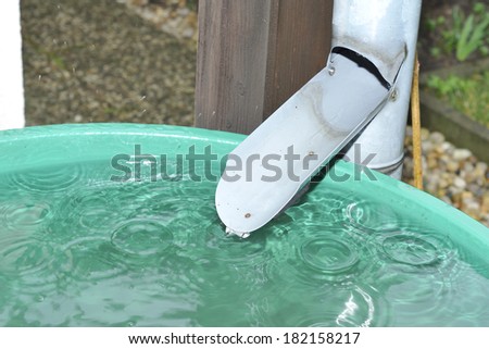 Green recovery of rainwater in a garden.