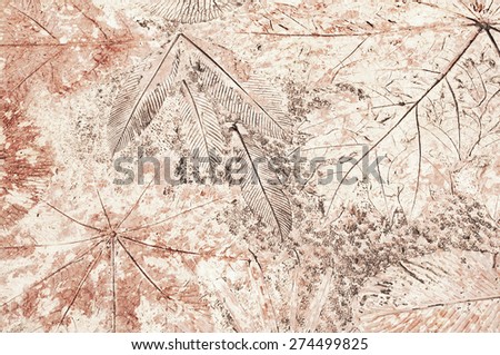 Fossil background, imprints of leaves on stone.