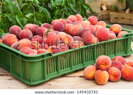 Fresh and juicy peach fruits in basket