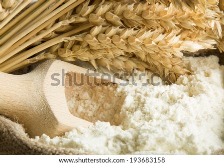 Flour in burlap bag and wheat ears