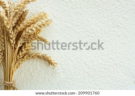 Scattered wheat flour on table as background and wheat spike