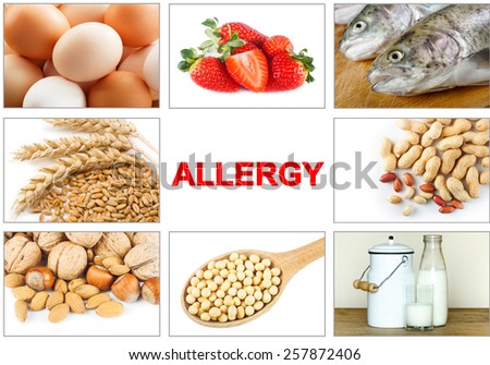 Allergy food concept. Food allergens as eggs, milk, fruit, tree nuts, peanut, soy, wheat and fish. Text \