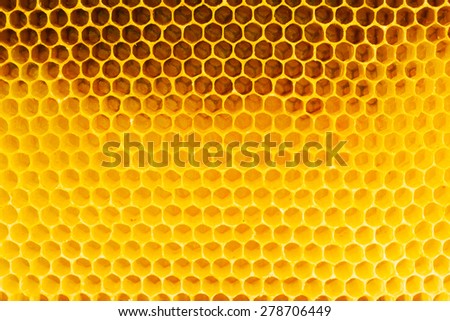 Honeycomb in beehive, closeup