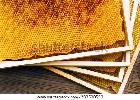 Honeycomb in beehive, closeup
