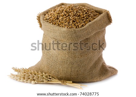 Wheat in small burlap sack