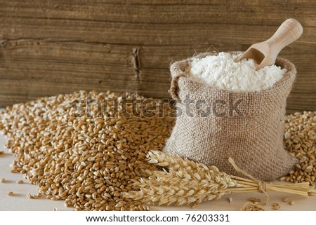 Wheat seed and flour in burlap sack