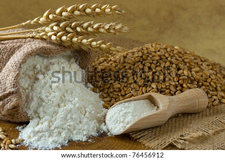 Wheat grain and flour in small burlap bag