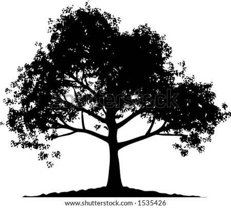 oak tree silhouette clip art. Silhouette of an Oak Tree